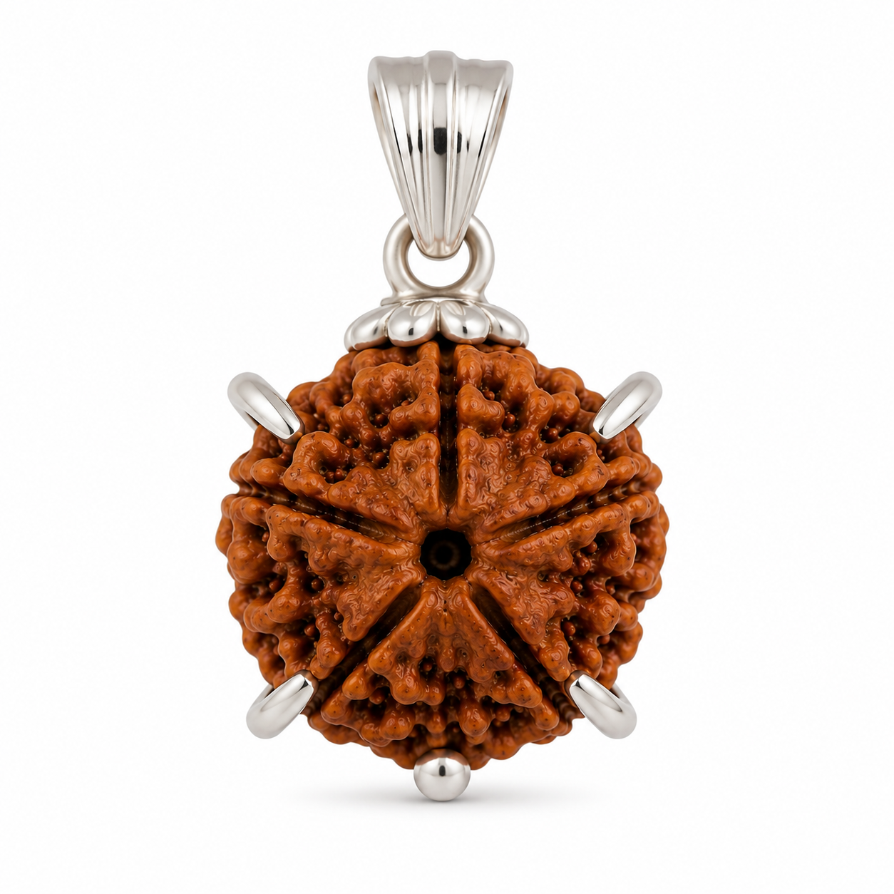 5 Mukhi Rudraksha Pendant (Nepali)